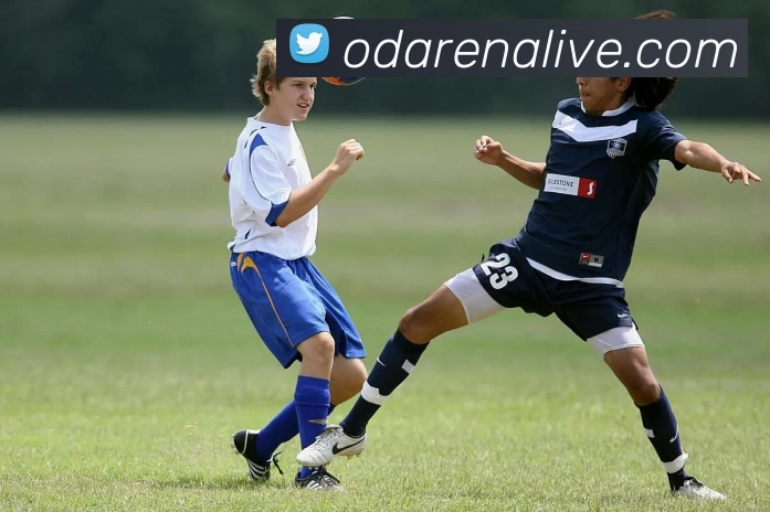 竞技场直播平台生态图